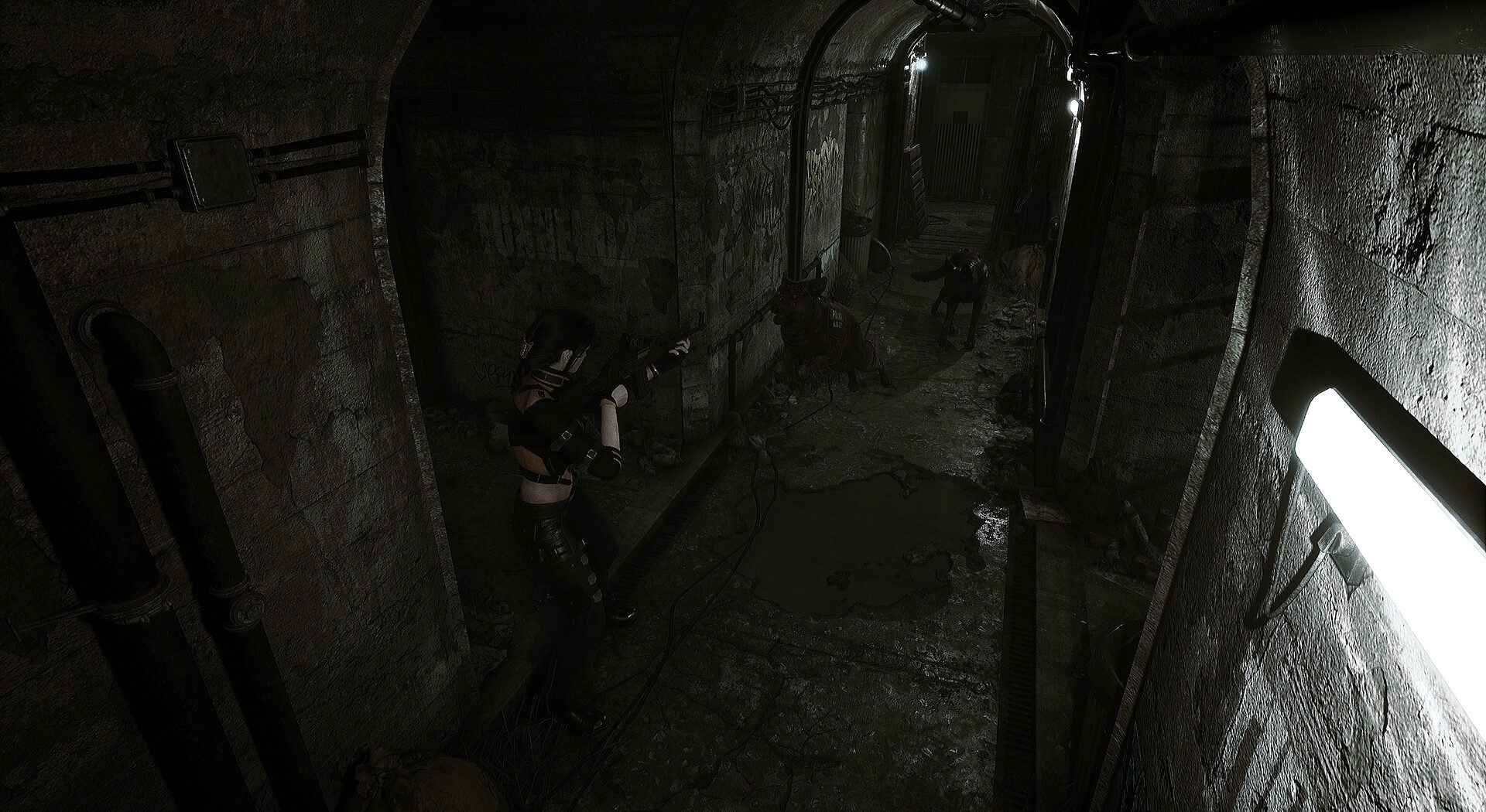 生者回响/Echoes of the Living-玖易创客