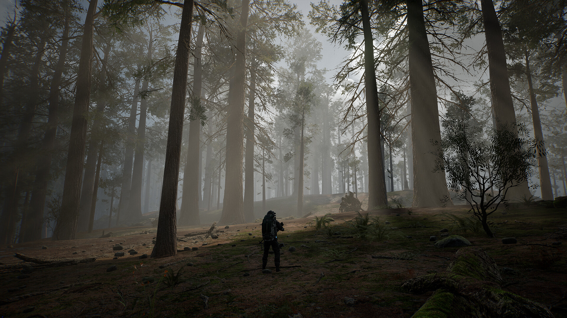 生命效应/LIFE EFFECT-玖易创客